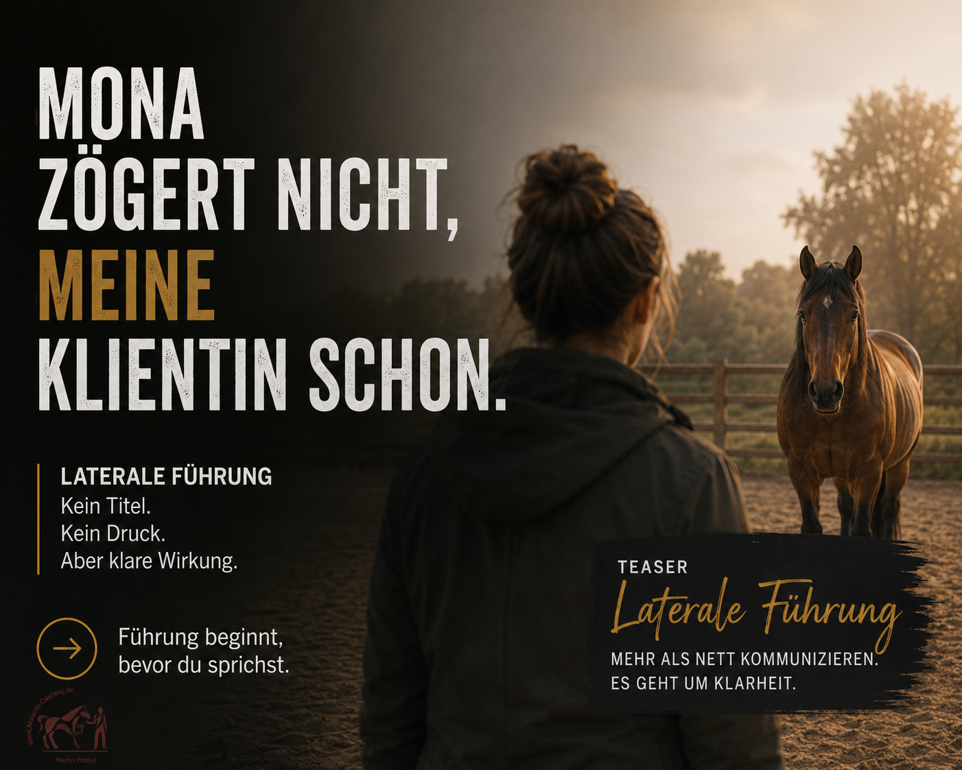 Mona steht im Paddock, schaut mich an, drei Schritte Abstand.
